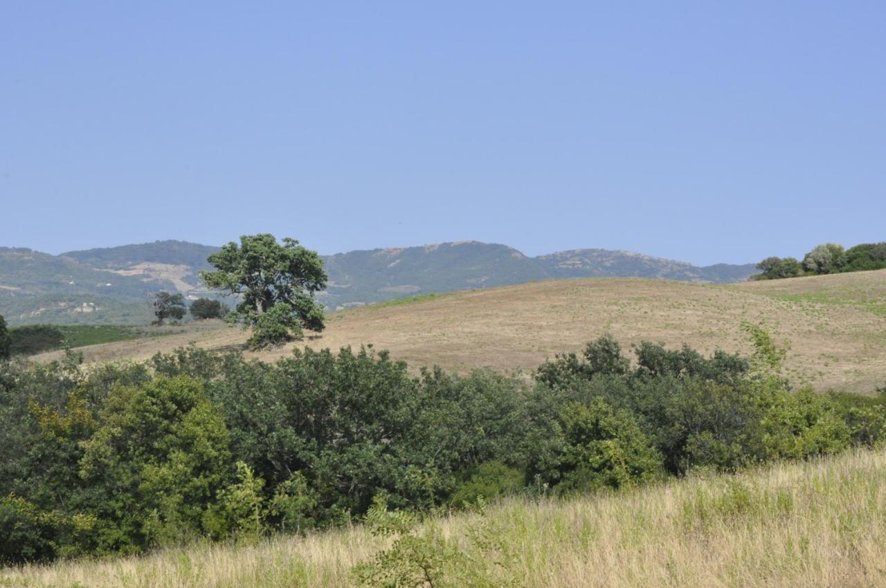 La Colombera In Toscana Roccalbegna Kültér fotó