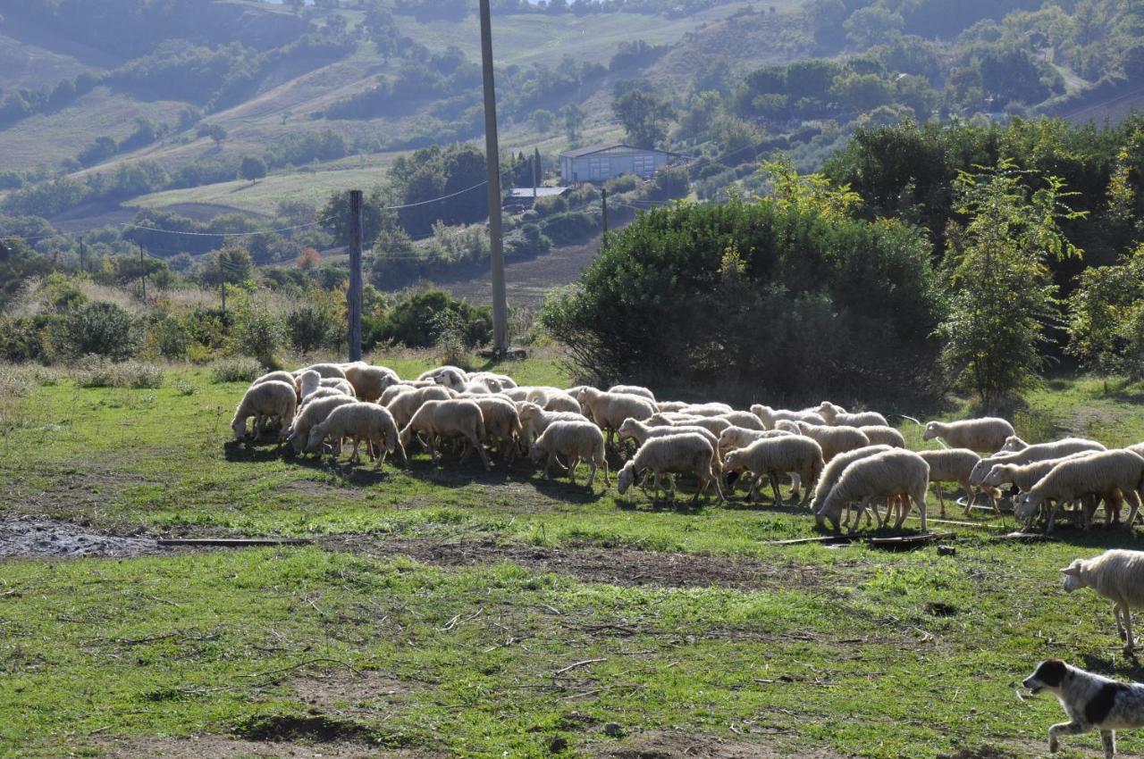 La Colombera In Toscana Roccalbegna Kültér fotó